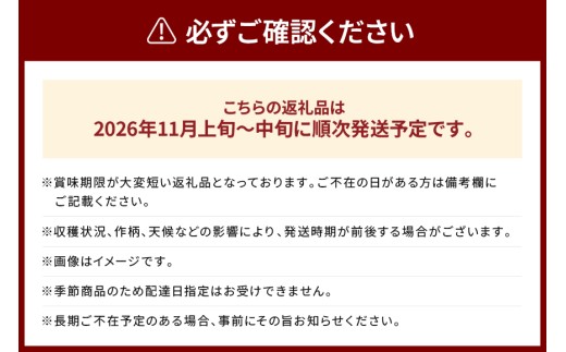 【2026年11月上旬-中旬発送予定】訳あり　りんご（ぐんま名月）約10㎏