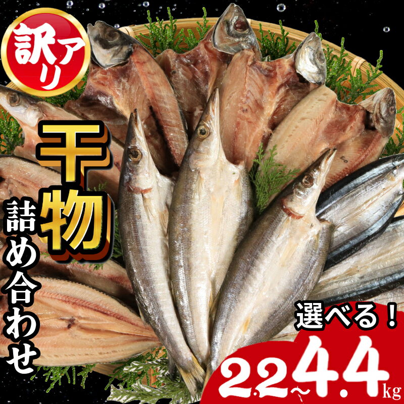 【ふるさと納税】 訳あり 干物 約2.2kg～4.4kg ひもの 詰め合わせ 干物 セット 徳島県 和田島 からお届け ホッケ サンマ アジ カマス 天日干し 干物 冷凍 ひもの 正規品 干物 訳アリ 人気 コスパ 送料無料 徳島県 小松島市 【北海道・東北・沖縄・離島配送不可】