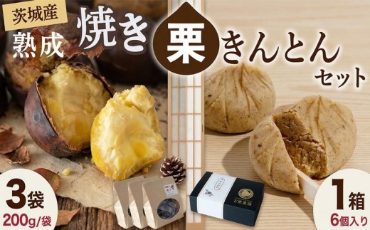 【先行受付】 熟成 焼き栗 3袋・栗きんとん 1箱 セット 令和8年産 栗 くり クリ 大粒 栗ごはん レシピ付き 料理 栗料理 栗おかし 栗鹿ノ子 和菓子 わがし お茶 お茶菓子 おかし お菓子 果物 フルーツ 数量限定 旬 秋 冬 正月 おせち 栗の深雫 しずく くりのしずく 吉原農場 茨城県 筑西市 関東