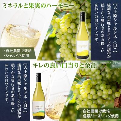 ふるさと納税 笛吹市 山梨県 YOAKENO 飲み比べ 5種×各1本 赤 白 泡 ワイン モンデ酒造 笛吹市 |  | 01