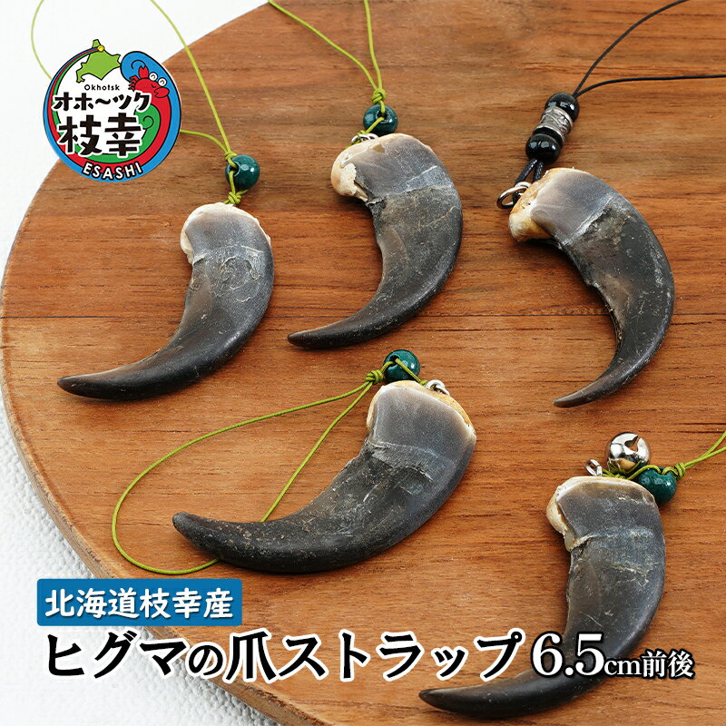 【ふるさと納税】北海道枝幸産 ヒグマの爪ストラップ 6.5cm前後 くま 熊 ヒグマ 羆 アクセ スマホファッション小物 アクセサリー 民芸品 工芸品 伝統技術