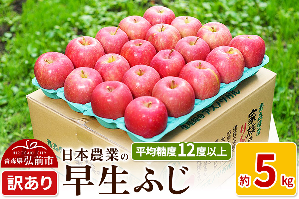 りんご 【先行受付】平均糖度12度以上！ 早生ふじ 約5kg 訳あり