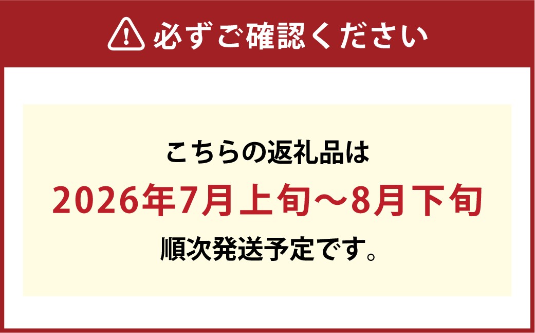 温室 シャインマスカット 晴王 1房 約600g
