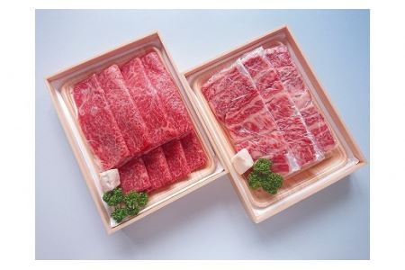 神戸ビーフ 定期便 年6回 Hコース 〈兵庫県産〉 神戸牛 牛肉