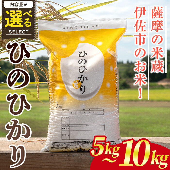 【ふるさと納税】＜内容量が選べる！＞鹿児島県産ひのひかり(5kg or 10kg) 国産 鹿児島県 米 お米 白米 伊佐米 【赤崎農園】
