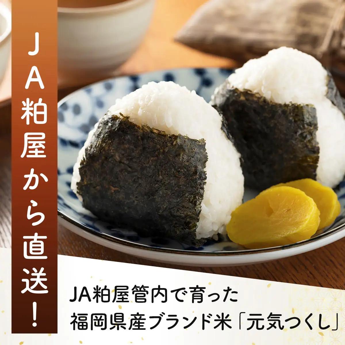 令和7年産 かすやそだち米「元気つくし」精米 10kg (5kg×2)【KN004】