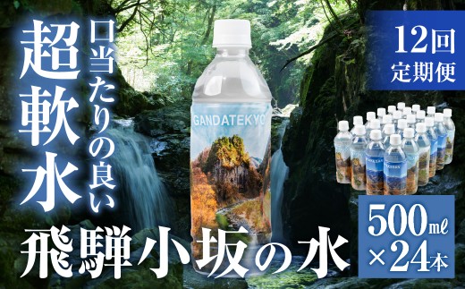 【定期便 12回】飛騨小坂の水（ナチュラルミネラルウォーター）500ml×24本（1箱24本入り）× 12カ月 超軟水 ミネラルウォーター ペットボトル 軟水 水 保存水 下呂市 小坂 飛騨