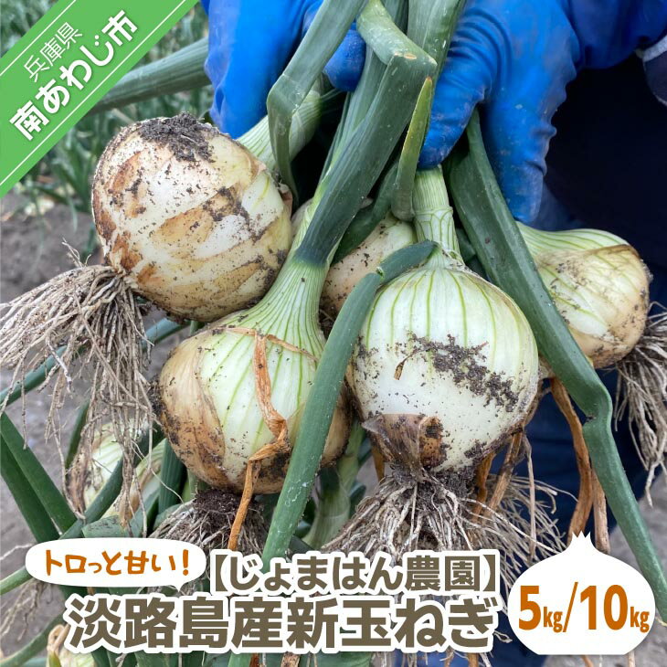 【ふるさと納税】【新玉予約】トロっと甘い！！淡路島産新玉ねぎ【5kg・10kg】