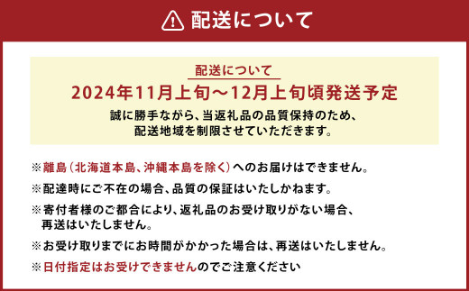 A158 福岡県山川産 塩みかん 10kg 【2024年11月上旬～12月上旬発送予定】 蜜柑 花藻塩_イメージ4