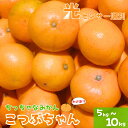 【ふるさと納税】《 額田農園限定レビューキャンペーン対象 》3S 訳あり ちっちゃな有田みかん 選べる容量 ※2024年11月中旬～2025年1月中旬までに順次発送予定（お届け日指定不可）※北海道・沖縄・離島への配送不可 先行予約 みかん 有田みかん 温州みかん 家庭用 ご家庭用