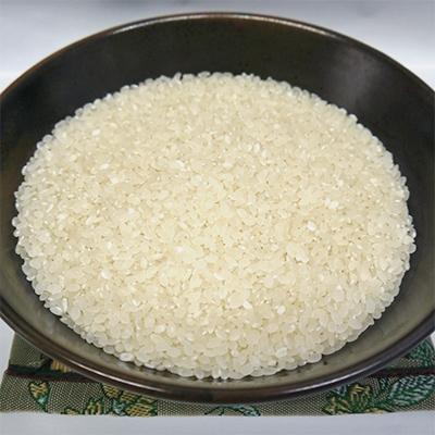 ふるさと納税 佐渡市 佐渡高千産コシヒカリ　精米2kg×2袋　化粧箱入 |  | 03