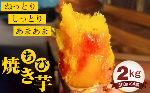 
No.405 ちび焼き芋2kg ／ 紅はるか やきいも さつまいも 茨城県
