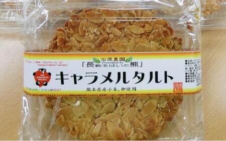 【数量限定】キャラメルタルト・木の実のフルーツケーキ (パウンドケーキ) 計5個セット【有限会社さんふれあ】[BHAK016]