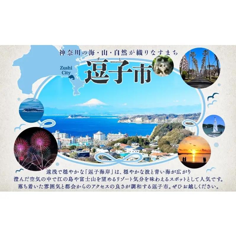 鎌倉彫 姫鏡 手鏡 伝統工芸品 工芸品 伝統 漆塗り 漆 漆器 和装小物 メイク道具 贈り物 ギフト プレゼント お祝い 彫刻 花柄 手作り ハンドメイド 持ち運び 上品 和モダン 工芸 職人技 鏡 