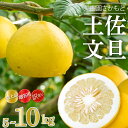 【ふるさと納税】 【 2025年 2月 より 発送 】 高知県産 土佐文旦 特上品 贈答用 優品 家庭用 訳あり 5kg 10kg ぶんたん 時期 人気 旬 柑橘 フルーツ 果物 高知 須崎