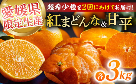 【全2回定期便】【数量限定】紅まどんな＆甘平 約3㎏ずつ[AGAO013]紅まどんな紅まどんな紅まどんな甘平甘平甘平