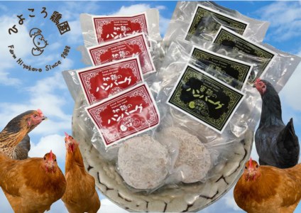 地鶏 と 軍鶏 のハンバーグセット 鶏肉 ハンバーグ モモ肉 国産 天然飼料 保存料不使用 食品添加物不使用 無添加 お子様 こども お年寄り やわらか ふんわり 平飼い 新潟県 阿賀野市 冷凍 1R04022