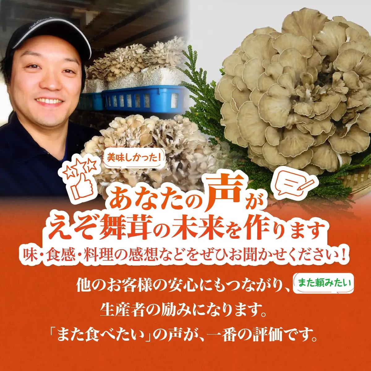北海道厚沢部町産 新鮮えぞまいたけセット ASM004
