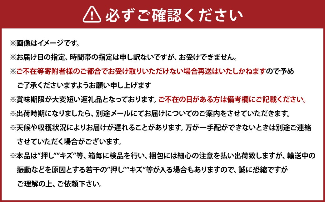 【2026年9月上旬～9月下旬発送予定】ぶどう 2026年 先行予約 シャイン マスカット 3～4房 合計2kg以上 ブドウ