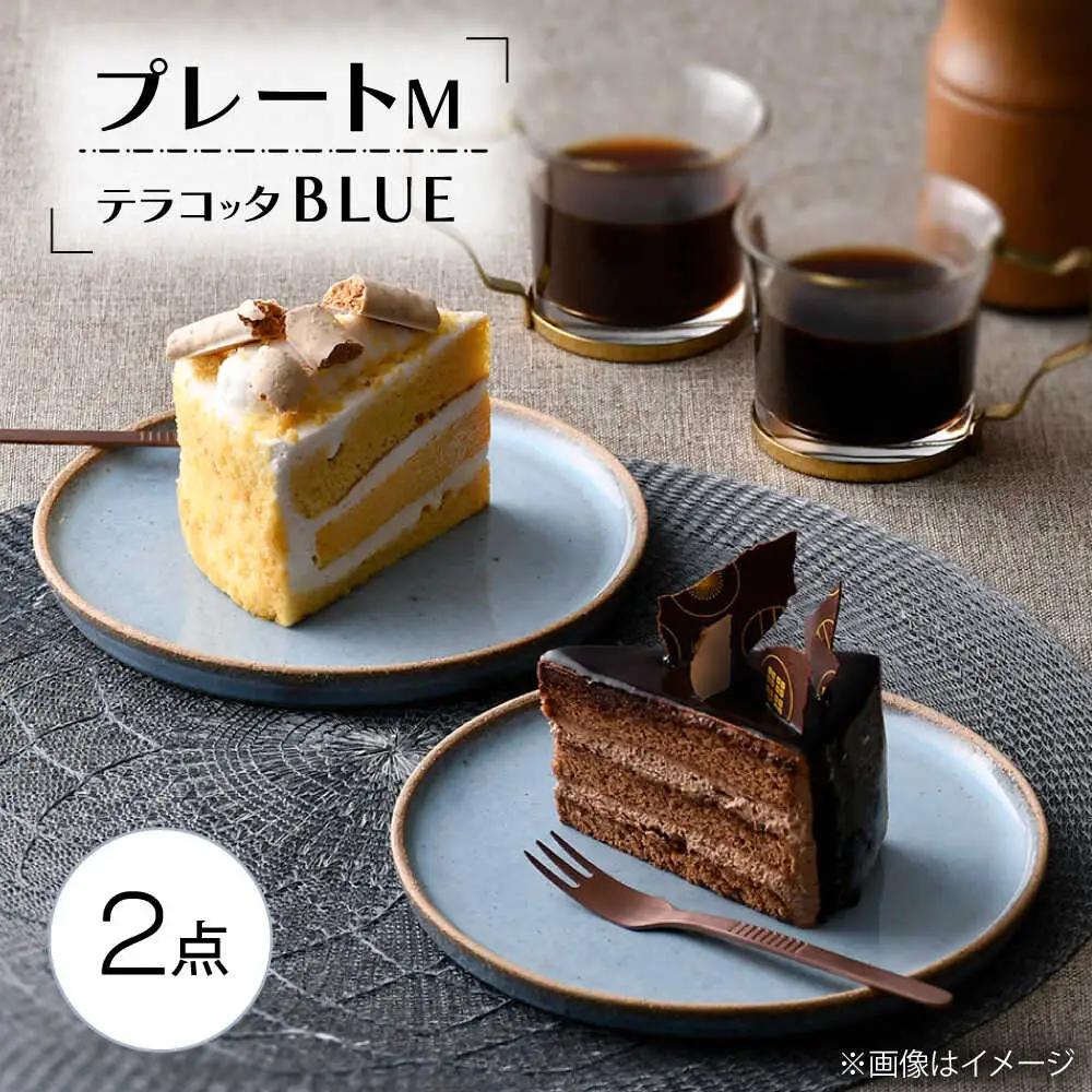 【波佐見焼】テラコッタ・BLUE プレートM 2枚セット【利左エ門窯】[QB67]