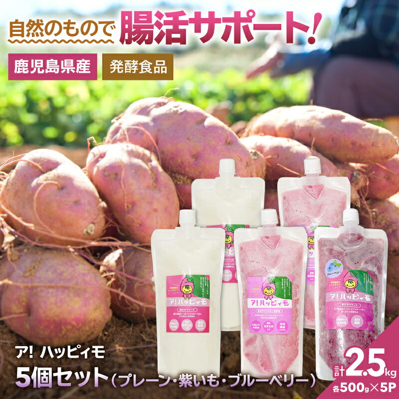 【ふるさと納税】ア！ハッピィモ5個セット（プレーン・紫いも・ブルーベリー） 合計2.5kg 鹿児島県産 いも 芋 さつま芋 紫芋 ブルーベリー 飲料 発酵食品 乳酸菌【合同会社HMS】