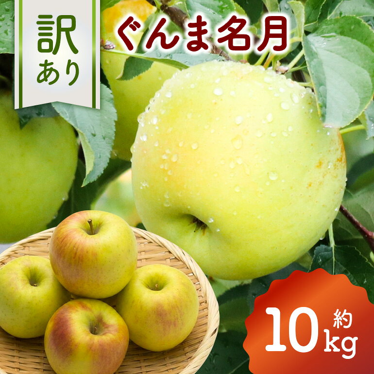 【ふるさと納税】訳あり りんご (ぐんま名月) 約10kg 037-0799