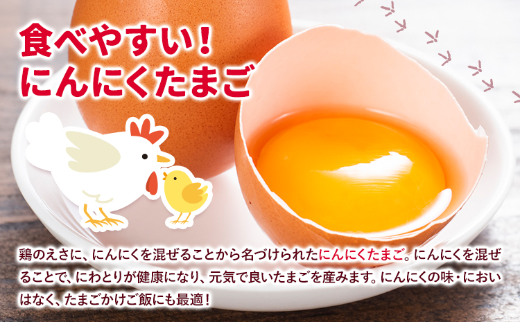 旬の野菜とたまごのセットメロンドーム 野菜 卵 にんにくたまご 卵 詰め合わせ 5ヶ月 定期便 有限会社七城町特産品センター《お申し込みの翌月から出荷》熊本県 菊池市 セット 新鮮 国産 九州産 熊本