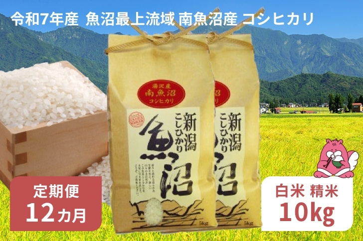 
            令和7年産 10kg 【12か月定期便】〈白米〉（5kg×2袋）魚沼最上流域 南魚沼産 コシヒカリ 精米したてのお米をお届け 【湯沢産 コシヒカリ】
          
