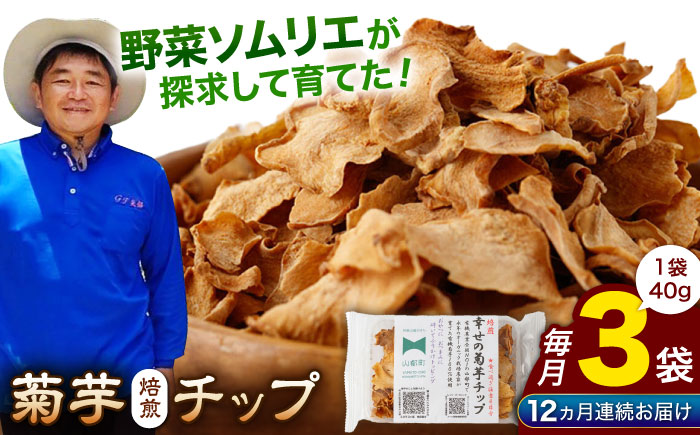 【全12回定期便】【数量限定】菊芋 焙煎 チップ 120g (40g×3パック)【グリーンファーム矢部】 [YDC010]