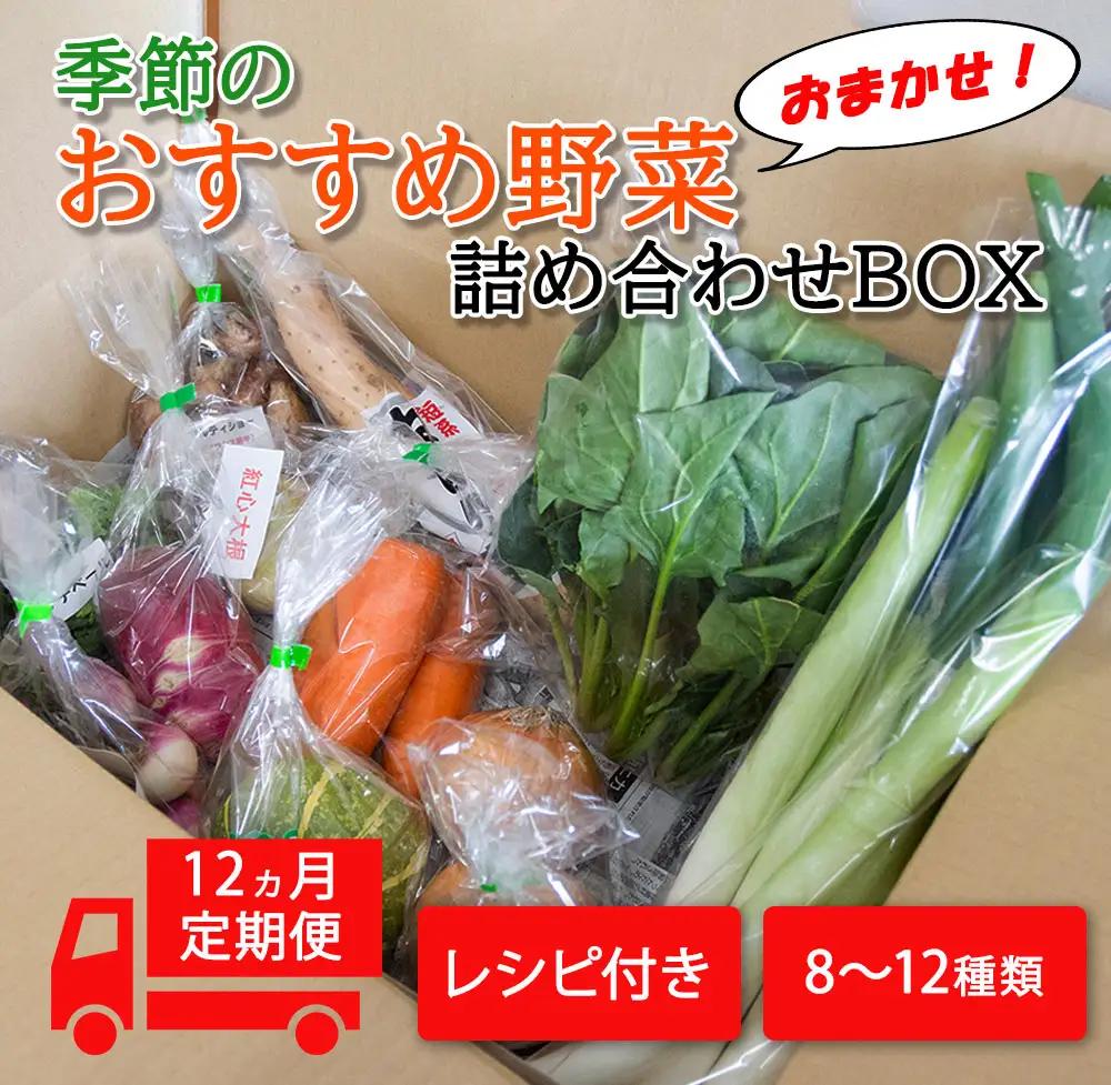 季節のおすすめ野菜おまかせ詰め合わせ12ヵ月定期便 8種～12種類【16105】