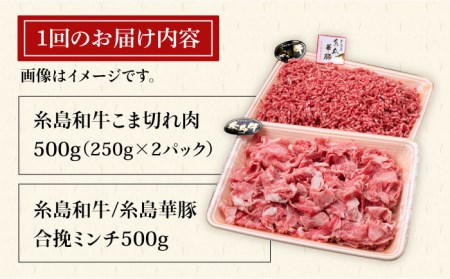 【全6回定期便】糸島和牛 小間切れ 500g ＆ 糸島和牛 糸島豚 合挽ミンチ 500g 合計1kg《糸島》【糸島ミートデリ工房】[ACA238] 博多 和牛 牛肉 豚肉 国産 ハンバーグ メンチカツ