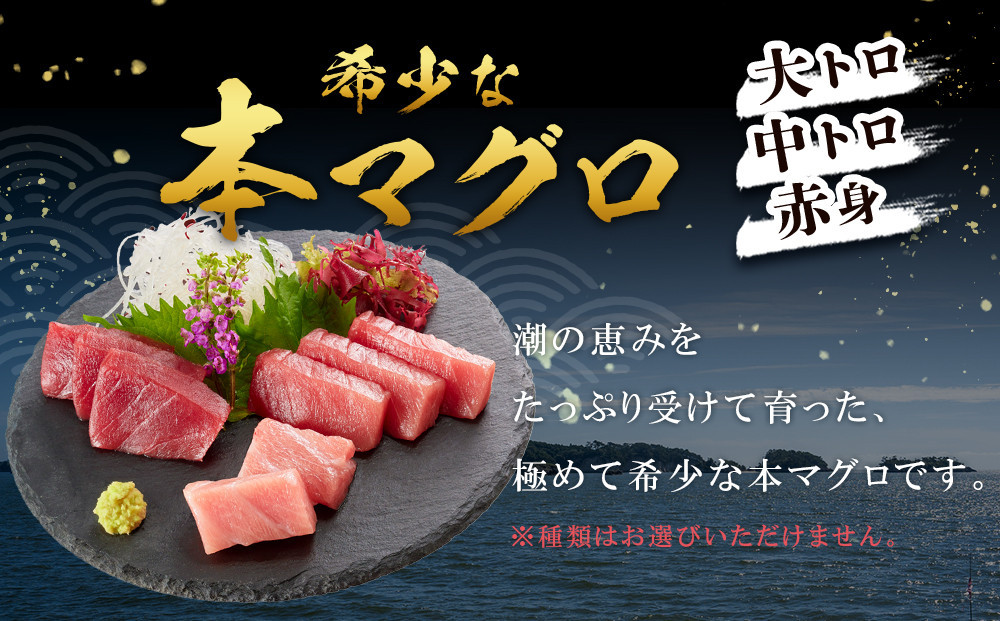 【期間限定】本マグロ トロ+赤身セット 1kg | 大トロ 中トロ 鮪 刺身 寿司 海のダイヤ クロマグロ 人気　生活応援