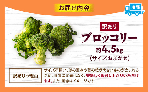 訳ありブロッコリー　約4.5kg | ブロッコリー 野菜 食材 サラダ 料理 大きい 新鮮 生野菜 生鮮食品 栄養価が高い ご家庭用 生産者応援 冷蔵 おすすめ 香川県 三木町 |_mk006-093