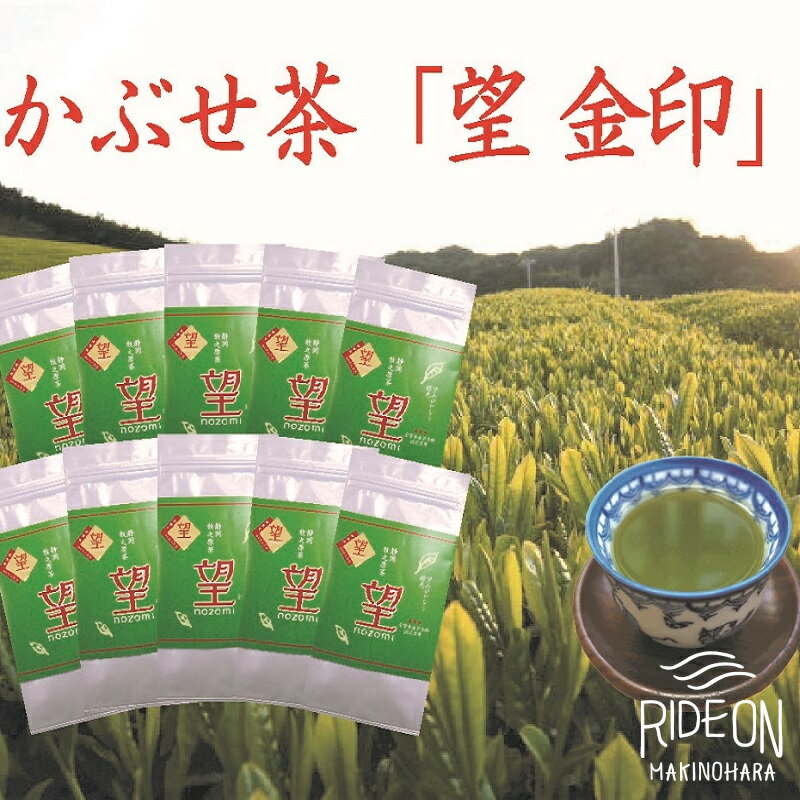 【ふるさと納税】牧之原かぶせ茶「望」10本セット