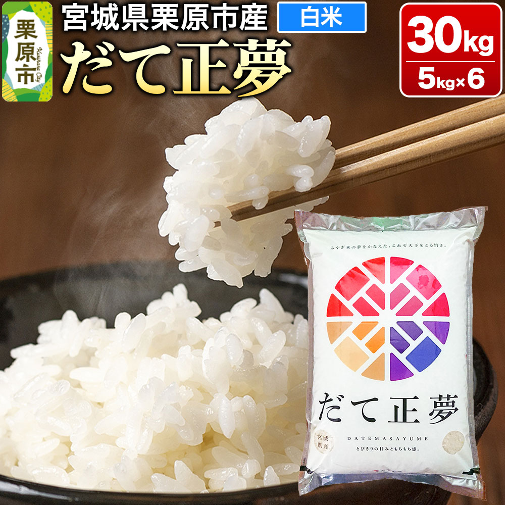 【ふるさと納税】【令和6年産・白米】宮城県栗原市産 だて正夢 30kg (5kg×6袋)