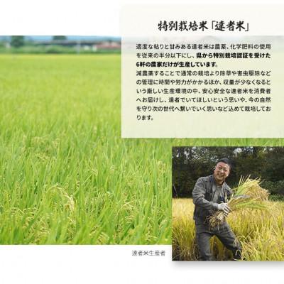 ふるさと納税 南部町 特別栽培米の達者米と青森4大肉のわっぱ飯 |  | 02