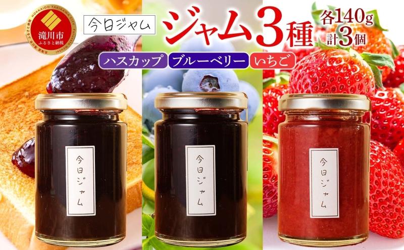 【ふるさと納税】ジャム3種セット 各1個 ハスカップジャム ブルーベリージャム いちごジャム  今日ジャム 北海道産 自家製 パン ヨーグルト 朝食 濃厚 甘い デザート スイーツ おやつ グルメ ご褒美 贅沢 ギフト 送料無料 北海道 滝川市