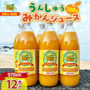 【ふるさと納税】和歌山有田産100% うんしゅうみかんジュース 970ml × 12本セット【和歌山 ミカンジュース ストレート 果汁100%】