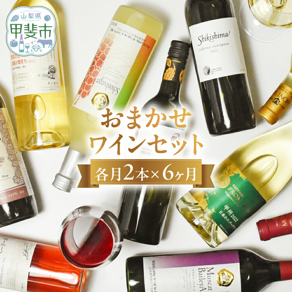 【ふるさと納税】甲斐市産　おまかせワイン各月2本×6か月　計12本定期便　AD-319