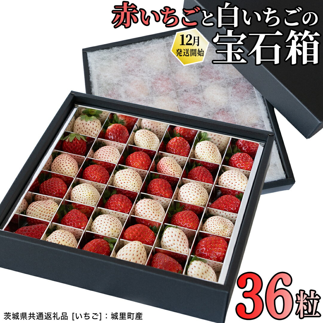 【ふるさと納税】＼ 12/31まで 期間限定 特別寄附金額！ ／ 赤白いちごの宝石箱アソート 36粒 【2025年12月から発送開始】（茨城県共通返礼品 [いちご]：城里町産） | いちご 苺 赤 イチゴ 白いちご 白イチゴ 宝石箱