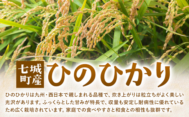 令和7年産 有機JAS 七城産ひのひかり 玄米 4kg 《30日以内に出荷予定(土日祝除く)》渡辺農産熊本県 菊池市 米 お米 精米 ひのひかり 菊池市産 熊本県産 九州産 送料無料---171-19