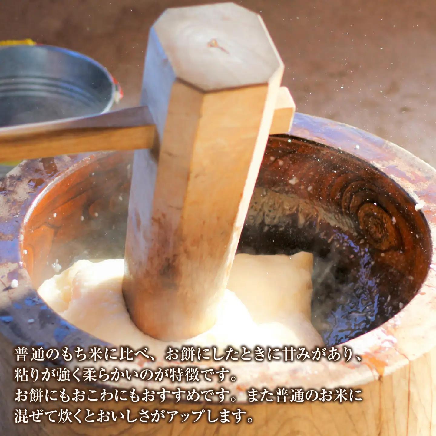 【先行予約】【令和8年産 新米】もち米（緑もち）精米3kg【10月下旬から順次発送 】 | 白米 古代米 餅 おこわ もち米