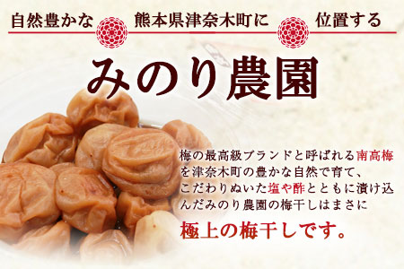 うめぼし 800g (しそ漬け)《30日以内に順次出荷(土日祝除く)》熊本県 葦北郡 津奈木町 梅 梅干し 天日干し みのり農園