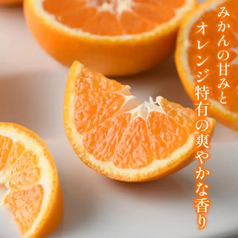 【先行予約】宗方印 はれひめ（家庭用）約2kg