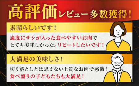 【6回定期便】 佐賀牛 切り落とし 500g 【桑原畜産】[NAB033] 佐賀牛 牛肉 肉 佐賀 牛肉 黒毛和牛 佐賀牛 牛肉 A4 佐賀牛 牛肉 a4 ブランド牛 ブランド牛肉 佐賀牛 牛肉 切り