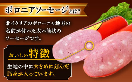 【6回定期便】宮地ハムのロングセラー ボロニアソーセージ 100g×7本 /宮地ハム[UBM012]