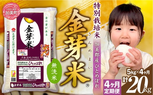 【新米予約】金芽米 定期便 無洗米 5kg × 4ヶ月 計 20kg 令和8年 米 特別栽培米 ひとめぼれ 宮城県 加美産 BG無洗米 [ 宮城県 加美町 ] km-km-knm05-t4-r8