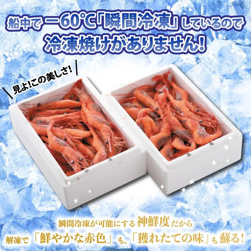 3ヶ月定期便 甘えび 合計約1.65kg (約550g ×3回) 中サイズ エビ [B-2326]