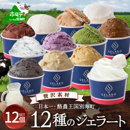 贅沢素材・12種のジェラート【EK0000015】