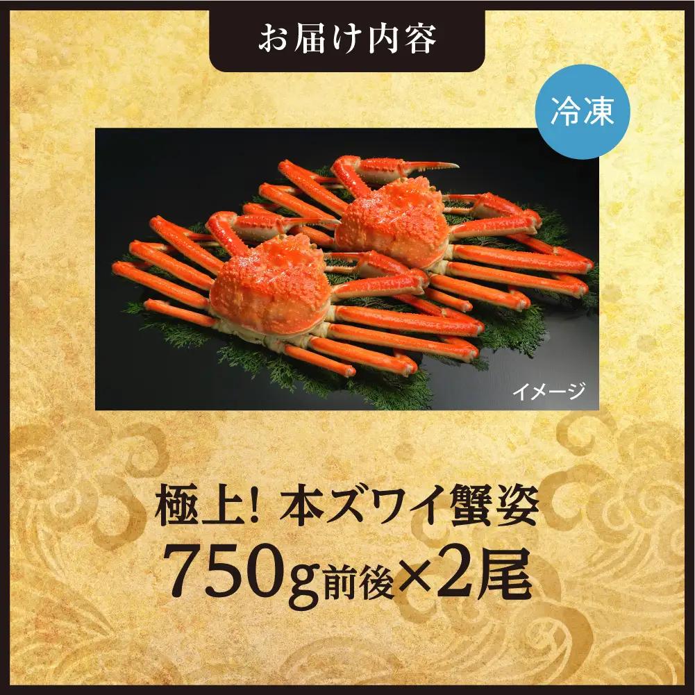 極上！本ズワイ蟹の姿　750g　2尾 | かに ズワイガニ 北海道 札幌市
